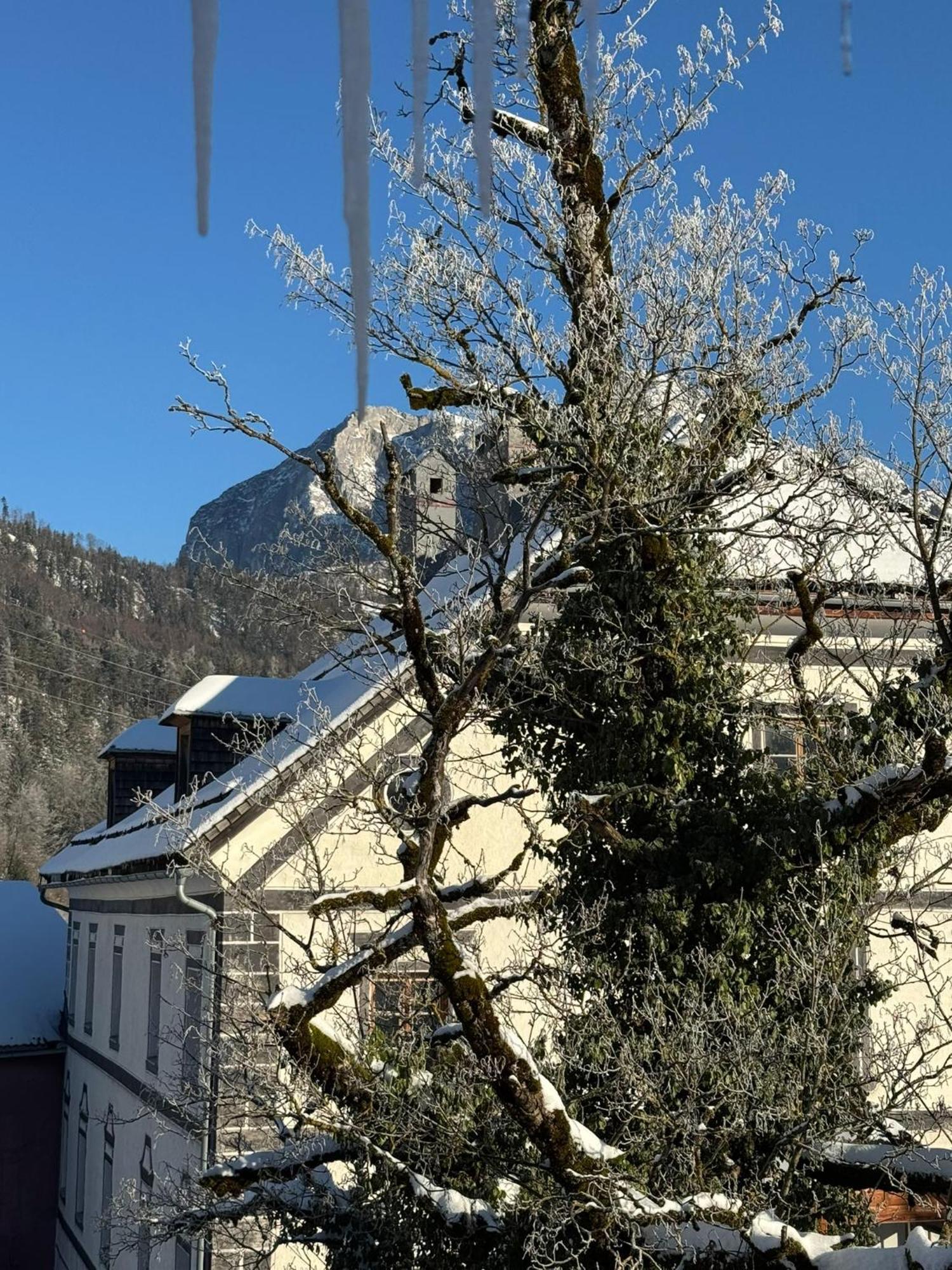 Podenhaus Bad Aussee Dış mekan fotoğraf